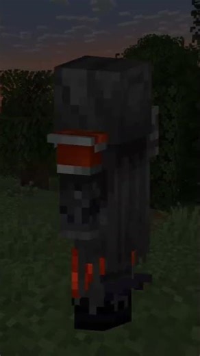 Dark nether lord skin #minecraft