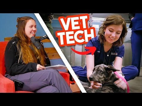 Advice For Current and Future Veterinary Technicians