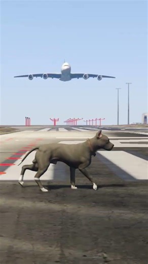 This GTA V Pilot Error Broke the Whole Airport, #gta5 #gtaonline #gtagameplay #gta5online
