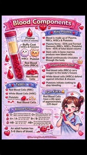 Blood Components Explained | RBC, WBC, Platelets & Plasma | Nursing Study