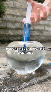 52K views · 625 reactions | Did you know these facts randomfacts curiosity learning factsyoudidntknow fyp Daily Quiz | Did u know | Facebook