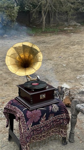 ᴄᴜꜱᴛᴏᴍᴢ ʙʏ ᴛᴀɢɢᴀʀ on Instagram: "Vintage Gramophone 📣 . . . . . . . . . . . . . #taggar_customz #viral #virals #viralreel #viralreels #reelitfeelit #explore #gramophone #vintage"