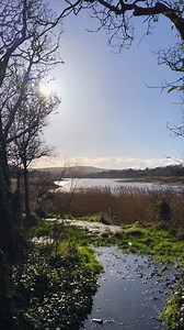 18K views · 228 reactions | Fancy a scenic riverside stroll with a cosy pub stop to finish? This one’s perfect! Begin at Yarmouth car park and wander along the Western Yar to the Red Lion in Freshwater. Watch to the end for some seriously mouth-watering food! #WeCantWaitToShowYou #IsleofWight #IOW #VisitIsleofWight #Staycation #Holiday #Autumn #RedLion #WesternYar #Yarmouth | Visit Isle of Wight | Facebook
