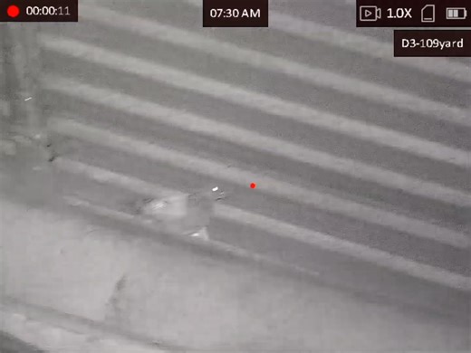 Out controlling pest species with this absolutely brilliant set up RTI Arms MORA Paired with the hikmicro alpex Extremely impressed with the picture quality through the scope.Just editing my latest youtube channel video 📹 I'll get the full video up as soon as possible. Session preview Kit used while out RTI Arms MORA. 22 HIKMICROHunting.UK&IE SunwayfotoT3620CS tripod system JSB Match Diabolo hades Thermtec wild 650 Thermal spotter Check my youtube channel for video clips and full videos 📹 http