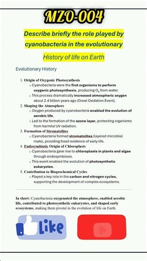 Describe briefly the role played by cyanobacteria in the evolutionary\rHistory of life on Earth.