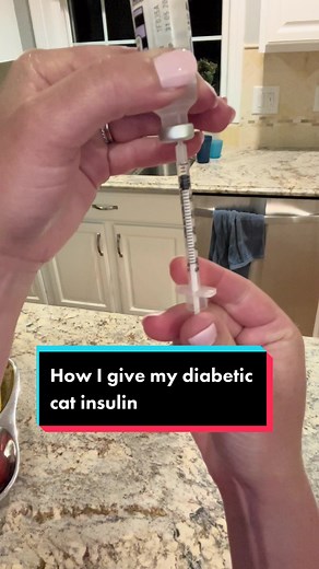 Tips for Administering Insulin to Your Diabetic Cat