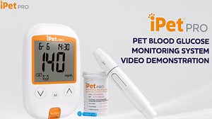 Watch How to Use the iPet Pro Blood Glucose Monitoring System on Amazon Live
