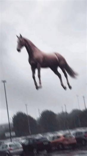 Man Meets Machine on Instagram: "@manmeetsmachine"