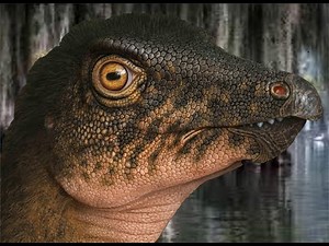 Denver Museum Dinosaur Discovery#DenverMuseum #Paleontology #Fossil #DinosaurBone #ColoradoDinosaurs