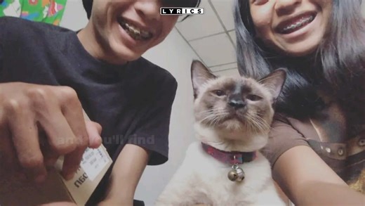 i'm yours - jason mraz | L Y R I C S