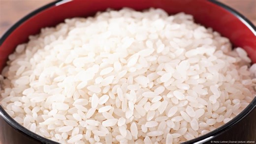 How Hong Kong rice farmers are saving local agriculture