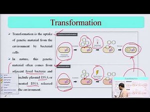 Microbial Genetics: Transformation, Transduction, Conjugation, Plasmids and Transposons