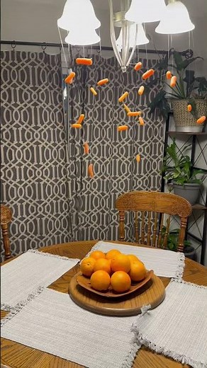 24 magic carrots in the air #funny #memes #fyp #brunomars #carrot