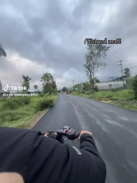 Ns200 Bs3: Top Speed and Models Revealed