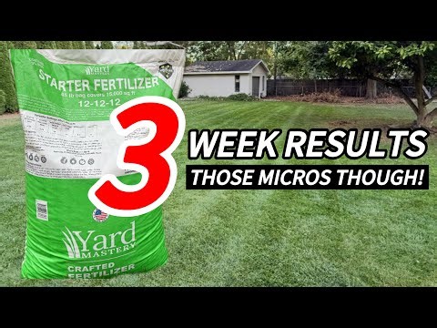 Why I love Yard Mastery Fertilizers | You Get What You Pay For