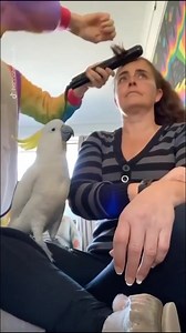 2.6M views · 11K reactions | * Oy! When u + ur bestie go to the same stylist 藍 | BehindTheChair.com | Facebook