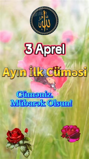 Nilay_2021 (@nilay_2021_nilay)’s videos with orijinal ses - 🦂﷽Könül.¹¹¹﷽