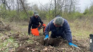 Forest Ave. Wetland Park getting new life thanks to volunteers