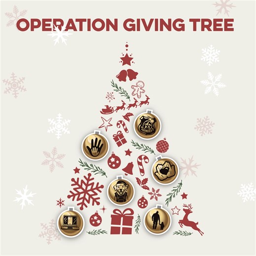OPERATION GIVING TREE This holiday season, we’re sending you on a mission—one that rescues children, supports survivors, and strengthens every part of the fight against sex trafficking and child exploitation. We need you. Operation Giving Tree is your chance to change lives. Each gift equips a critical piece of the work. Each choice you make moves this global mission forward. Your mission starts here: https://bit.ly/3X237ug | Our Rescue