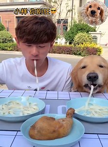 352K views · 23K reactions | Eating Contest 殺 | Pets Talent | Facebook