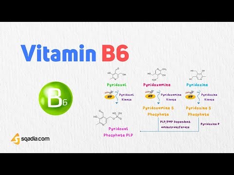 Water Soluble Vitamin B6 | Introduction
