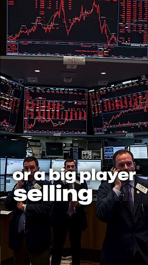 Why Do Stock Markets Crash So Fast?