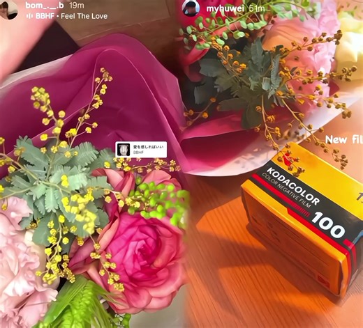 Our Lowkey Relationship: A Peek Behind the Scenes