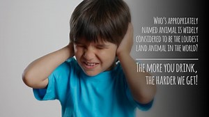 #nowplaying | bar trivia LIVE