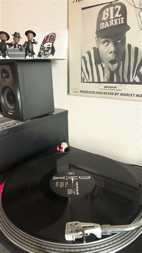 DMX - Catching The Same Hell # hiphop #vinyl #rap #record #boombap