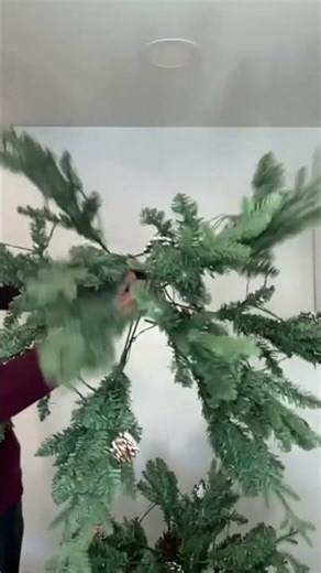 Light Features and Settings Overview