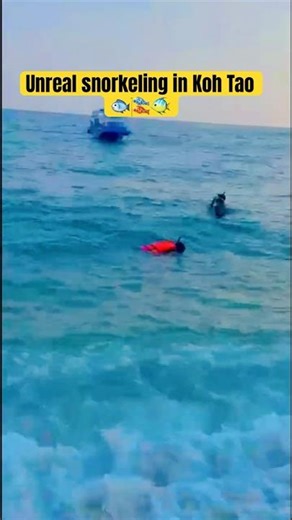 “Koh Tao island Thailand | snorkeling paradise” 🐠😍#shorts