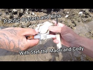 Catch and Cook Pacific Oysters and Kina with Stef the Maori and Cody in Kerikeri