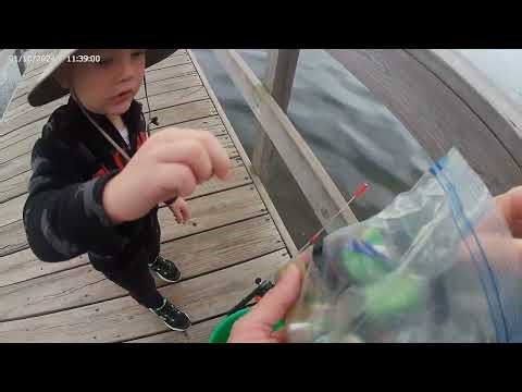 Jaxson Lake Marion Dock Fishing 9-1-24 video 1