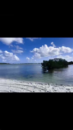 80Thumper (@80thumper)’s videos with Good Times Go By Too Fast (VAVO Remix) - Dylan Scott & VAVO