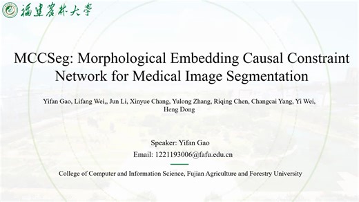 [26] MCCSeg: Morphological Embedding Causal Constraint Network