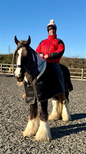 Prince truly was family pony today ❤️ He did a clear round with Milly, then one with Bella, then Dad offered to walk him off but hopped on board 😂. Princey really is one in a million! #horse #cob #horsestagram #family #jump | Ponypower
