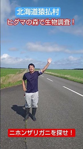 年末は池の水ぜんぶ抜く大作戦！テレビ静岡2025年12月31日13時50分放送！ヒグマの森で生物調査！≫ 加藤英明【公式】かとチャン