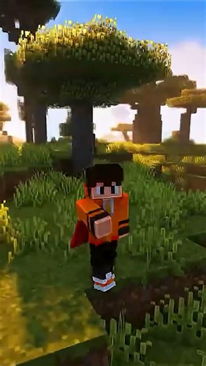 Instalé el NO_MOON.JAR en Minecraft y algo horrible empezó a pasar