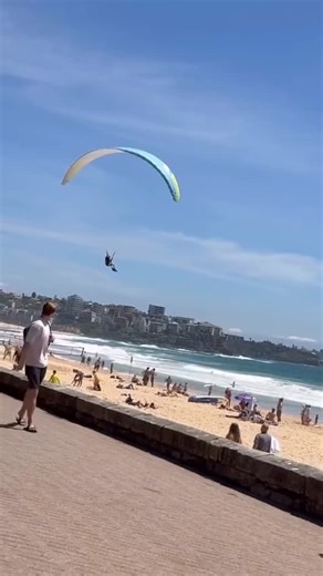 Creatures of Manly on Instagram: "Great day to land on the beach 😂"