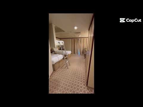 Regal Princess stateroom tour- WHEELCHAIR accessible!