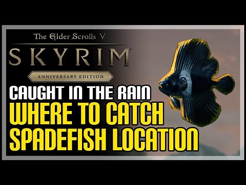 Spadefish Location Skyrim (How to Catch Spadefish)