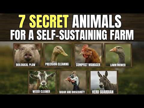 7 Hardworking Animals That Will Lighten Your Farm's Workload (Most Farmers Overlook #3)