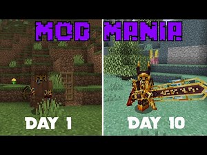 I Added ONE MOD every day for 100 DAYS