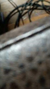 diy made effects catalinbread pareidolia pedalpcb mesmerizer