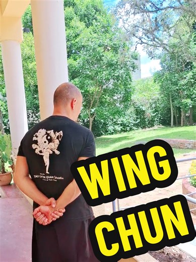 Mastering Wing Chun Kung Fu Techniques