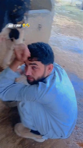 Funny Farm Moments in Swabi