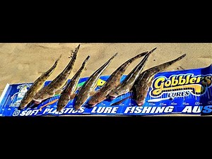 CHASING FLATHEAD IN THE CABOOLTURE RIVER ON SOFT PLASTICS