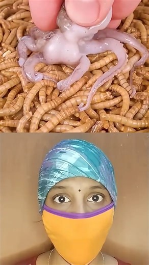 10000 worms 🐛 vs mini octopus 🐙 #timelapse