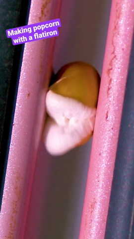 Moments Frozen in Time – Mesmerizing Slow Motion