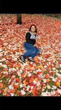 Colby College Fall color trees and carpet like fallen leaves 🍂 in Waterville, Maine +pics